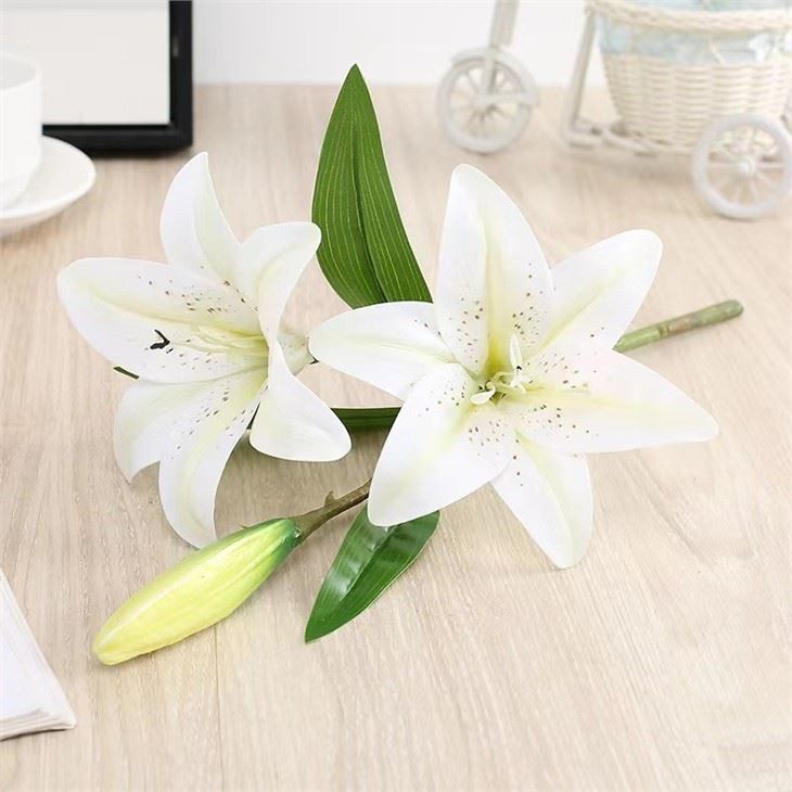white lily flower